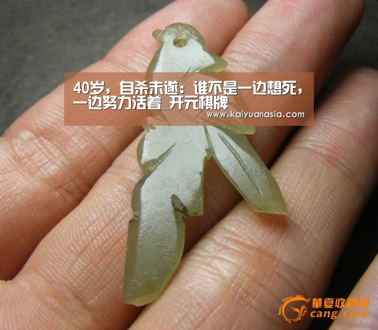 40岁,自杀未遂:谁不是一边想死,一边努力活着_开元棋牌(图1) 开元赛事
